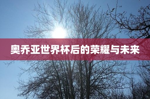 奥乔亚世界杯后的荣耀与未来