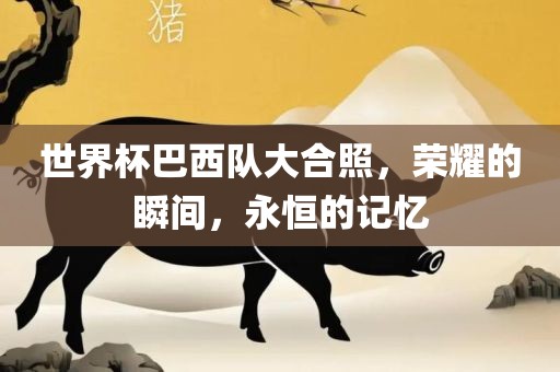 世界杯巴西队大合照，荣耀的瞬间，永恒的记忆
