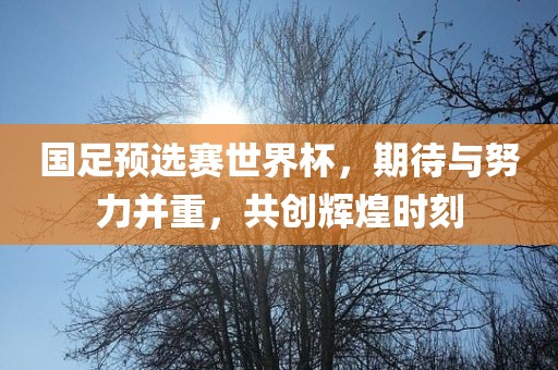国足预选赛世界杯，期待与努力并重，共创辉煌时刻