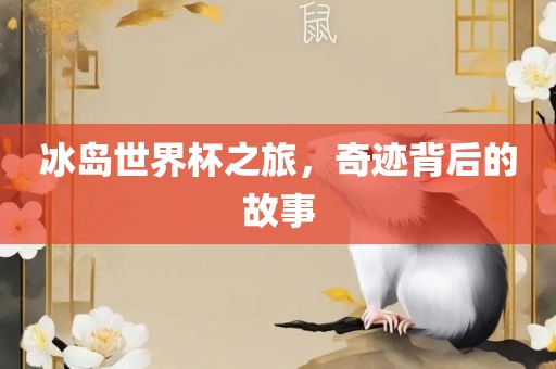 冰岛世界杯之旅，奇迹背后的故事吉安市靖泰电力工程有限公司