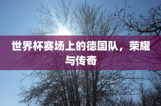 世界杯赛场上的德国队，荣耀与传奇