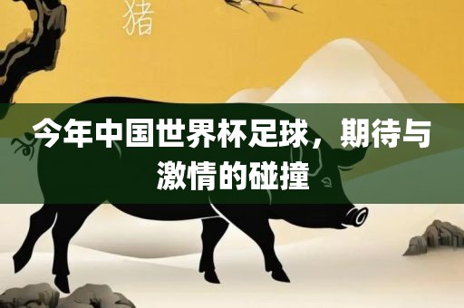 今年中国世界杯足球，期待与激情的碰撞