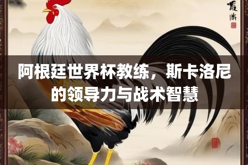 阿根廷世界杯教练，斯卡洛尼的领导力与战术智慧