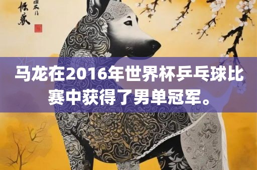 马龙在2016年世界杯乒乓球比赛中获得了男单冠军。