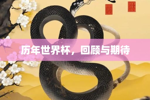 历年世界杯，回顾与期待吉安市靖泰电力工程有限公司