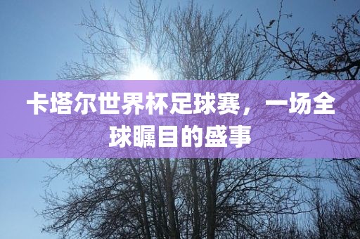 卡塔尔世界杯足球赛，一场全球瞩目的盛事