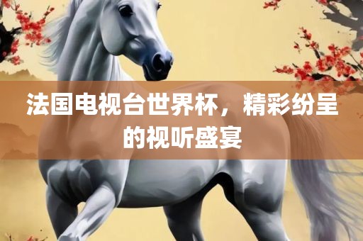法国电视台世界杯，精彩纷呈的视听盛宴