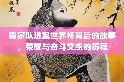 国家队进军世界杯背后的故事，荣耀与奋斗交织的历程