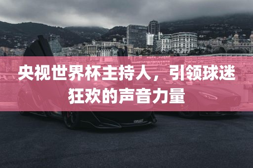 央视世界杯主持人，引领球迷狂欢的声音力量