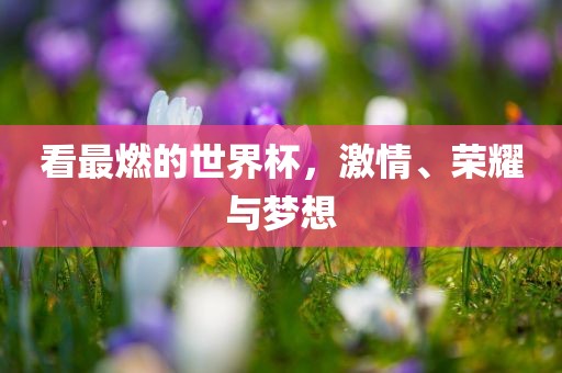 看最燃的世界杯，激情、荣耀与梦想