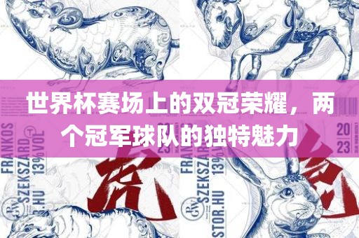 世界杯赛场上的双冠荣耀，两个冠军球队的独特魅力