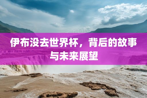 伊布没去世界杯，背后的故事与未来展望