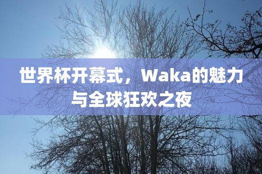 世界杯开幕式，Waka的魅力与全球狂欢之夜