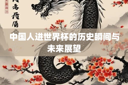 中国人进世界杯的历史瞬间与未来展望