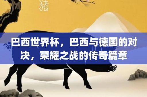 巴西世界杯，巴西与德国的对决，荣耀之战的传奇篇章