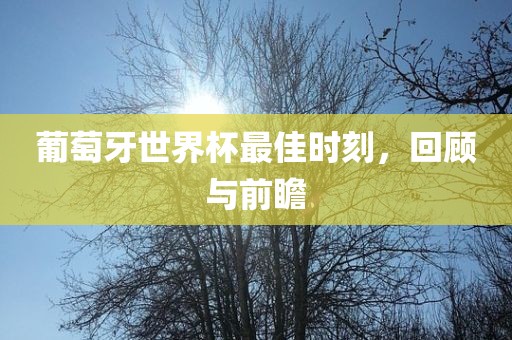 葡萄牙世界杯最佳时刻，回顾与前瞻