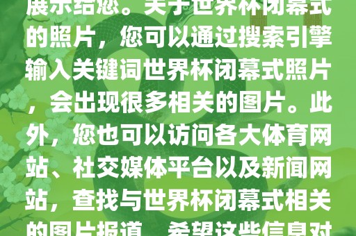 由于照片是静态的，无法直接展示给您。关于世界杯闭幕式的照片，您可以通过搜索引擎输入关键词世界杯闭幕式照片，会出现很多相关的图片。此外，您也可以访问各大体育网站、社交媒体平台以及新闻网站，查找与世界杯闭幕式相关的图片报道。希望这些信息对您有所帮助。