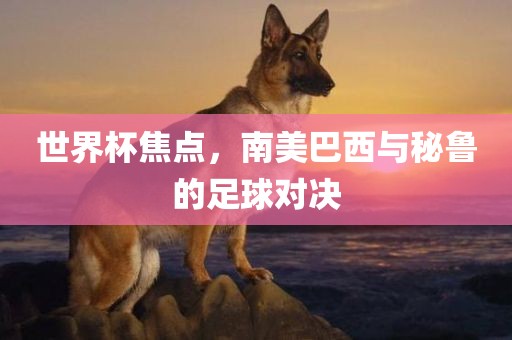 世界杯焦点，南美巴西与秘鲁的足球对决
