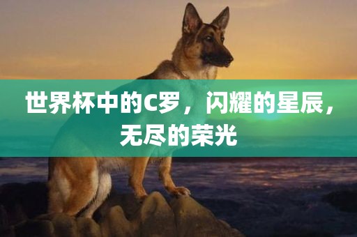 世界杯中的C罗，闪耀的星辰，无尽的荣光