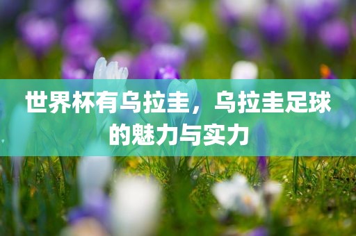 世界杯有乌拉圭，乌拉圭足球的魅力与实力
