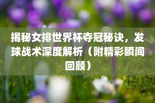 揭秘女排世界杯夺冠秘诀，发球战术深度解析（附精彩瞬间回顾）