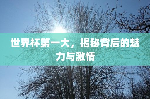 世界杯第一大，揭秘背后的魅力与激情