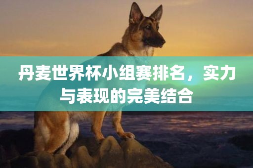 丹麦世界杯小组赛排名，实力与表现的完美结合