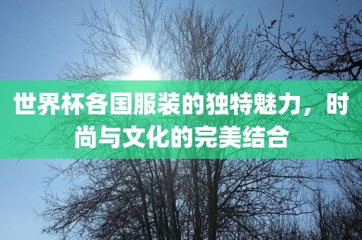 世界杯各国服装的独特魅力，时尚与文化的完美结合
