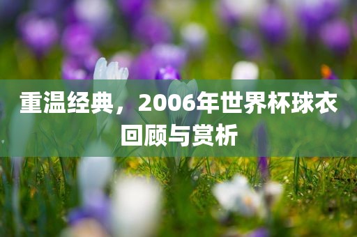 重温经典，2006年世界杯球衣回顾与赏析