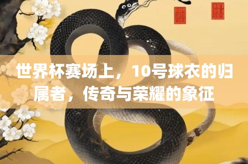 世界杯赛场上，10号球衣的归属者，传奇与荣耀的象征