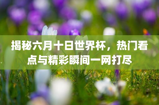 揭秘六月十日世界杯，热门看点与精彩瞬间一网打尽