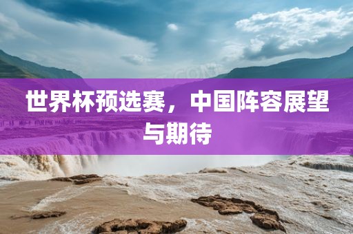 世界杯预选赛，中国阵容展望与期待