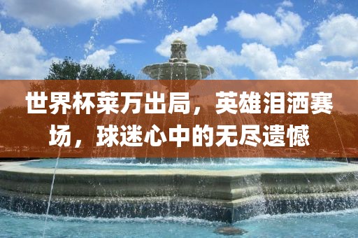 世界杯莱万出局，英雄泪洒赛场，球迷心中的无尽遗憾