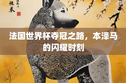 法国世界杯夺冠之路，本泽马的闪耀时刻