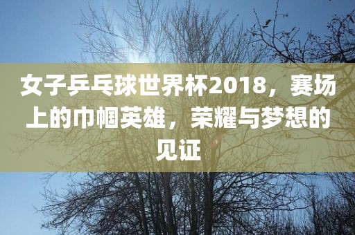 女子乒乓球世界杯2018，赛场上的巾帼英雄，荣耀与梦想的见证