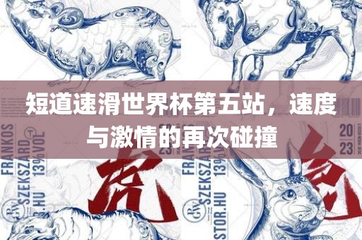 短道速滑世界杯第五站，速度与激情的再次碰撞
