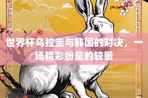 世界杯乌拉圭与韩国的对决，一场精彩纷呈的较量