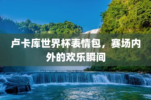 卢卡库世界杯表情包，赛场内外的欢乐瞬间