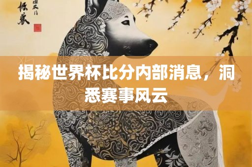 揭秘世界杯比分内部消息，洞悉赛事风云