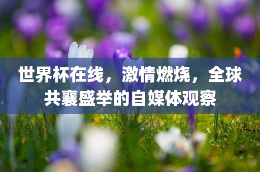 世界杯在线，激情燃烧，全球共襄盛举的自媒体观察吉安市靖泰电力工程有限公司