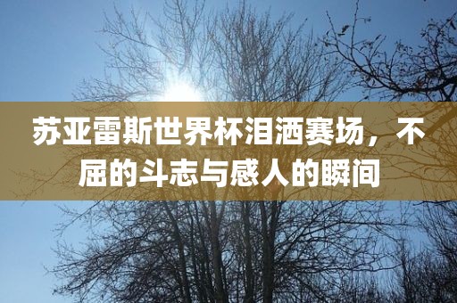 苏亚雷斯世界杯泪洒赛场，不屈的斗志与感人的瞬间