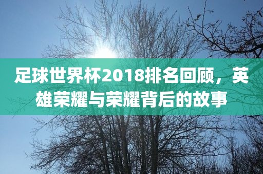足球世界杯2018排名回顾，英雄荣耀与荣耀背后的故事