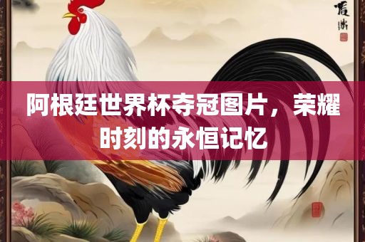 阿根廷世界杯夺冠图片，荣耀时刻的永恒记忆