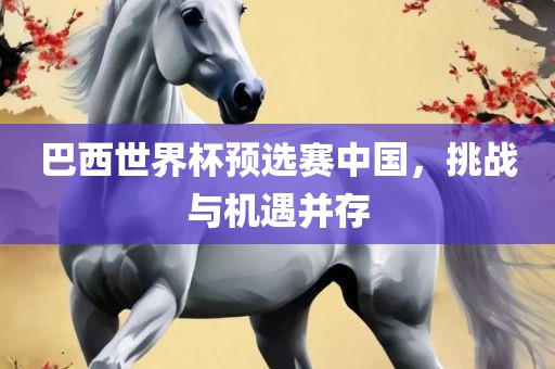 巴西世界杯预选赛中国，挑战与机遇并存