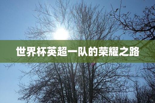 世界杯英超一队的荣耀之路