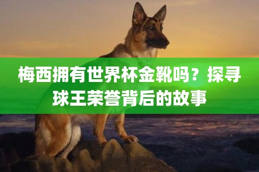 梅西拥有世界杯金靴吗？探寻球王荣誉背后的故事