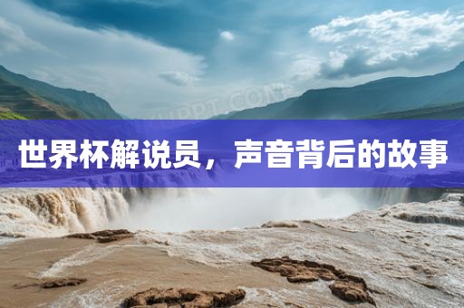世界杯解说员，声音背后的故事