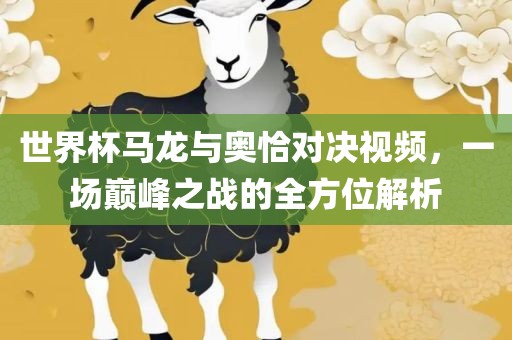 世界杯马龙与奥恰对决视频，一场巅峰之战的全方位解析