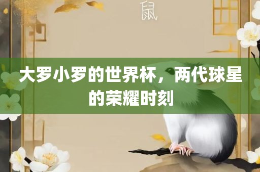 大罗小罗的世界杯，两代球星的荣耀时刻