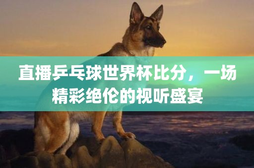 直播乒乓球世界杯比分，一场精彩绝伦的视听盛宴